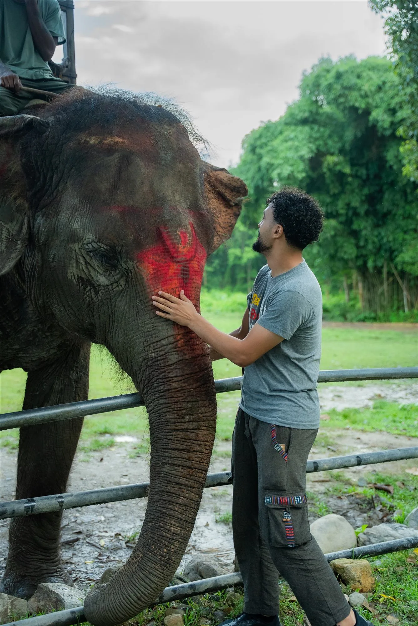 Mohammad greeting an elephant on the journey through Nepal